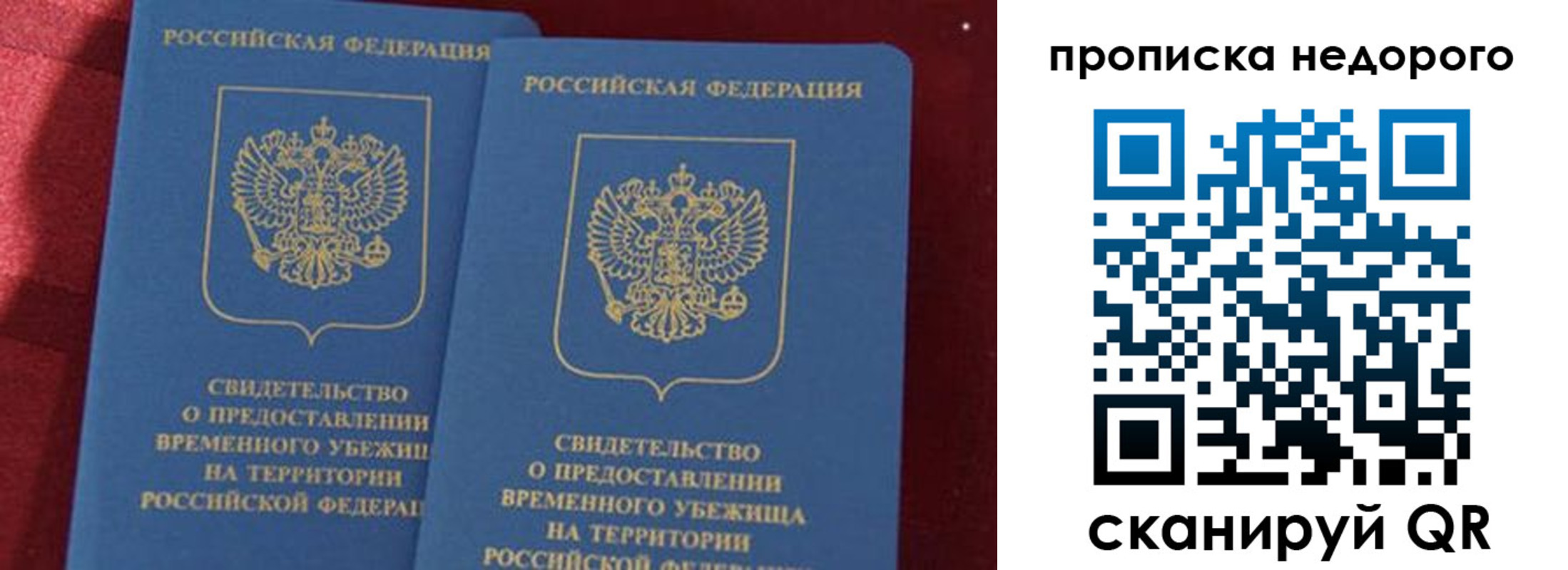 прописка гарантия в Кузнецке